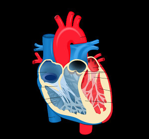 心脏病突发的6种征兆